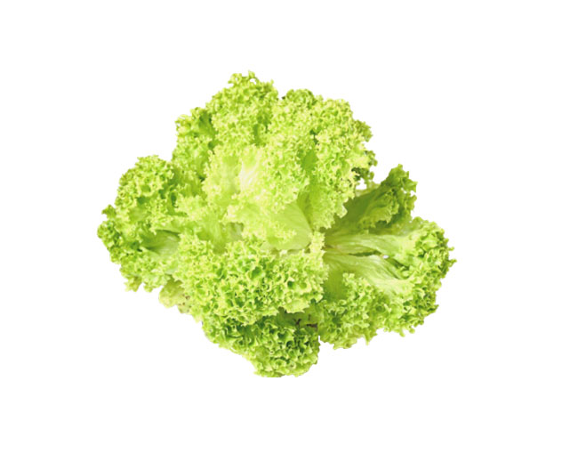 Vegetables