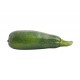 Green Marrow (Hairy Gourd)