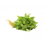 Vegetables