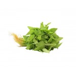 Vegetables