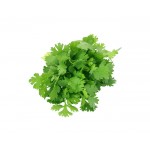 Herbs