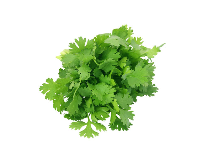 Herbs