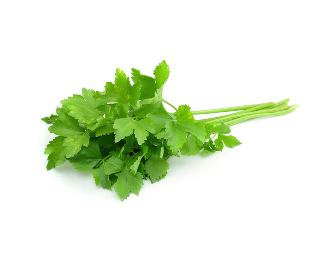 Herbs