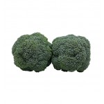 Organic