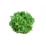 Vegetables