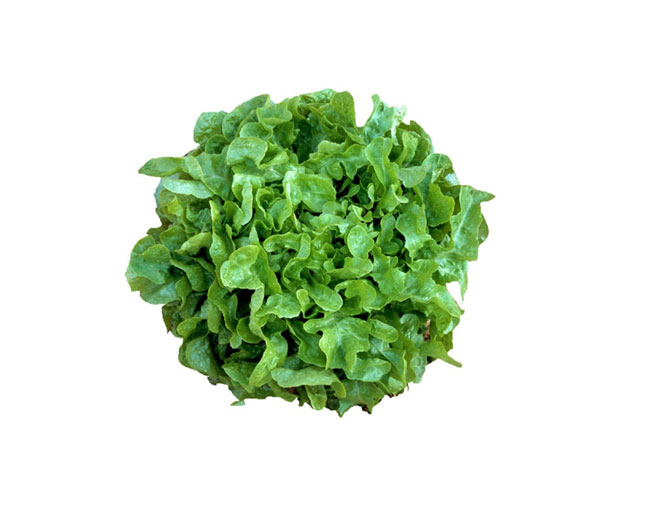Vegetables