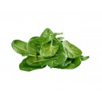Vegetables