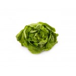Vegetables