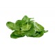 Classic Mix Salad