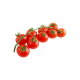 Cherry Tomato Red