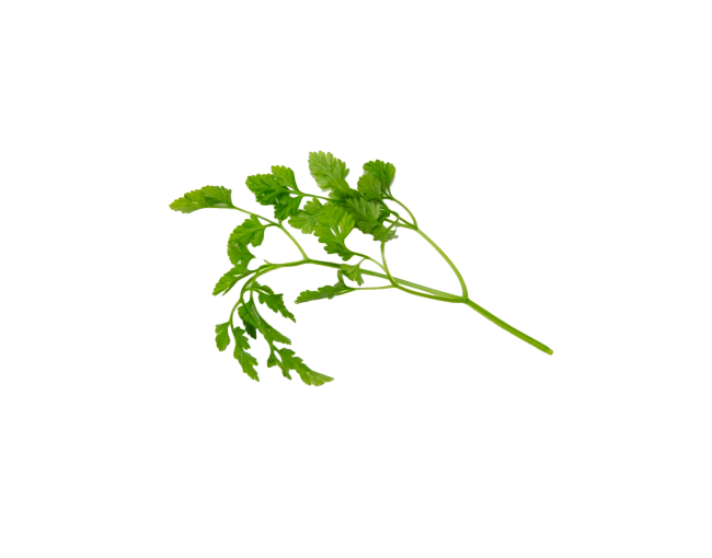 Herbs