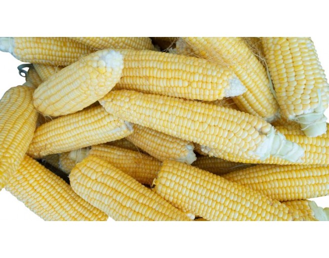 Vegetables