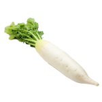Vegetables