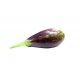 Eggplant Round