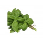 Herbs