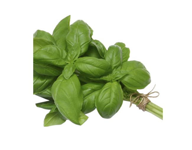 Herbs