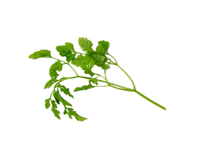 Herbs