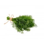 Herbs