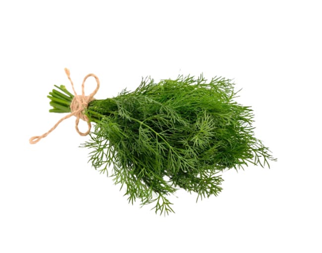 Herbs