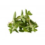Herbs