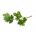 Herbs