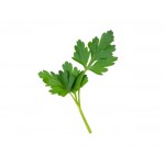 Herbs