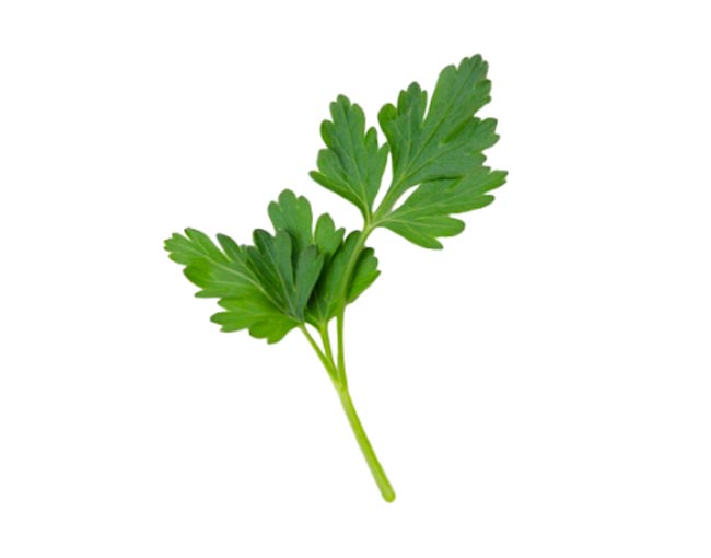 Herbs