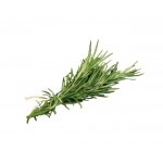 Herbs
