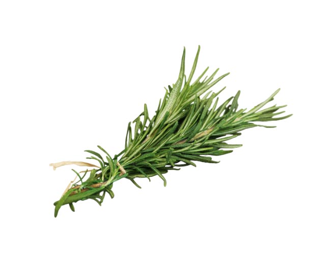 Herbs