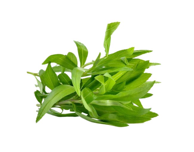 Herbs