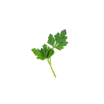 Herbs
