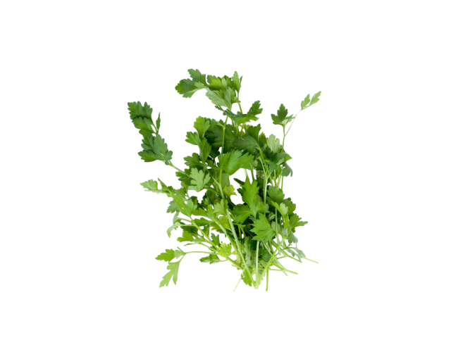 Herbs