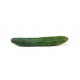 Japanese Cucumber