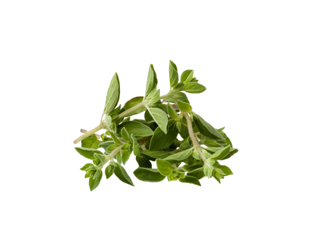 Herbs