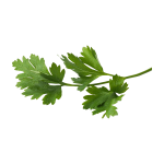 Herbs