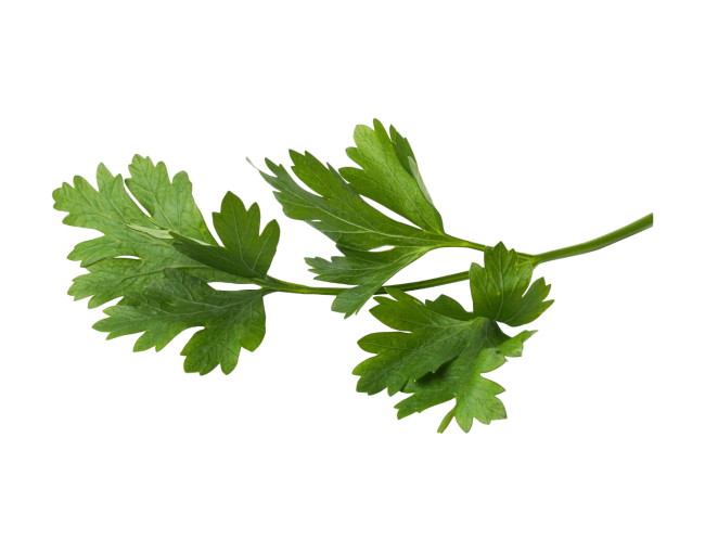 Herbs