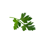Herbs