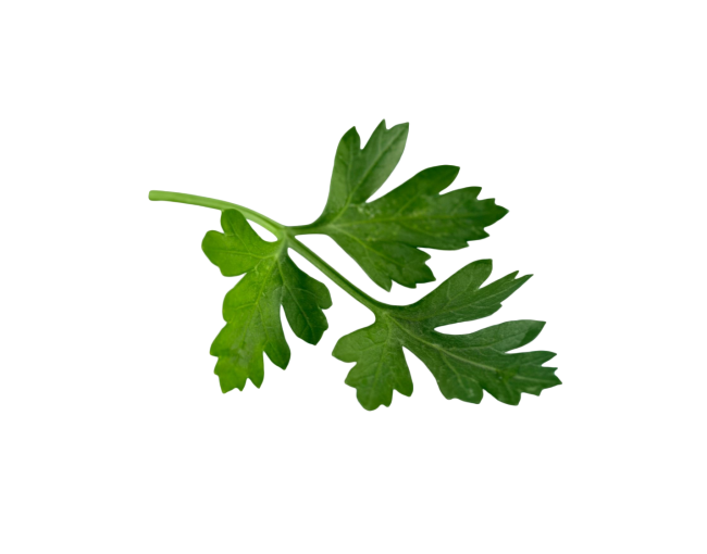Herbs