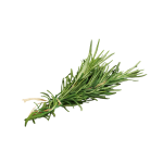 Herbs