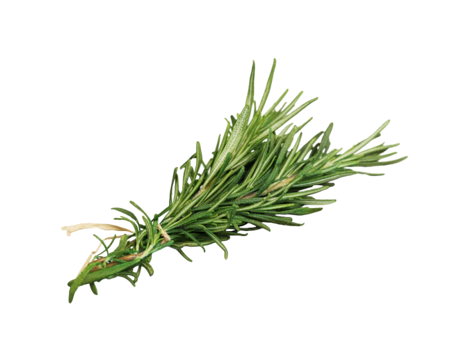 Herbs