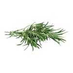 Herbs