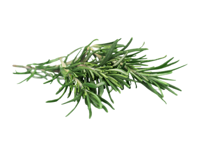 Herbs