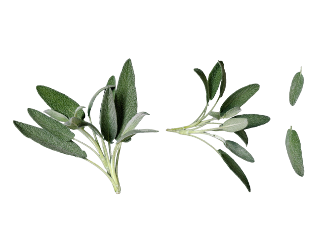 Herbs