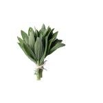 Herbs