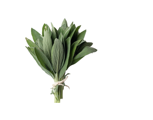 Herbs