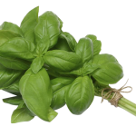 Herbs