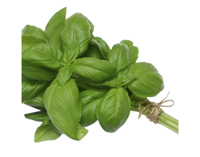 Herbs