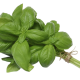 Sweet Basil