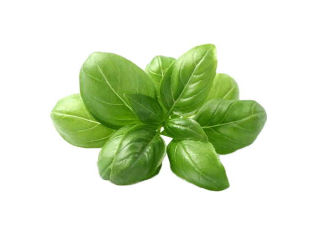 Herbs