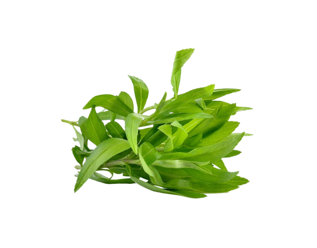 Herbs